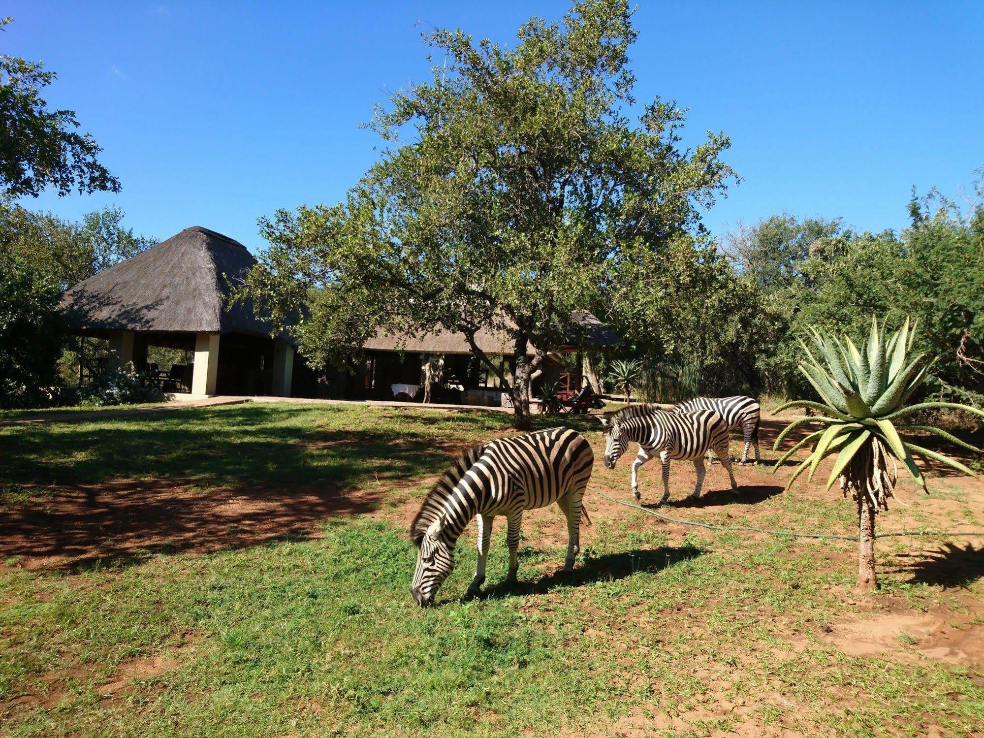 Royal Kruger Lodge Marloth Park Eksteriør billede